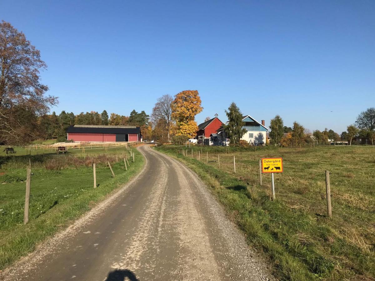 Stegemans Horse Hotel And Country Lodge Люнгби Екстериор снимка